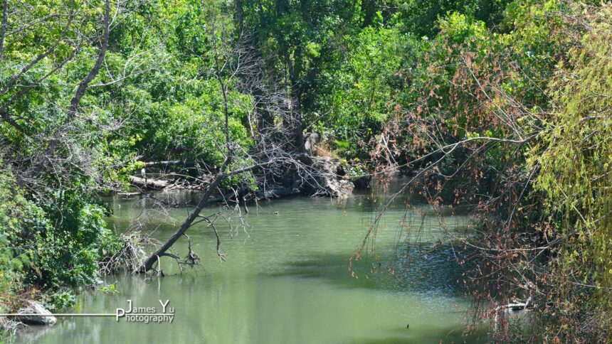 Local Creek