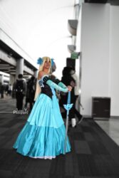 Example 3 Fanime 2014