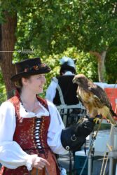 Falconry 2 Falconry 2