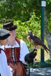 Falconry 1 Falconry 1