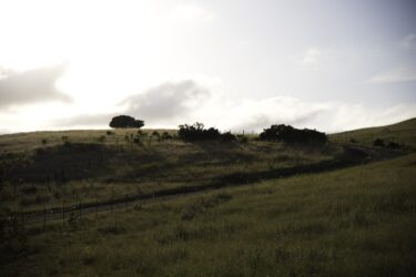 Calaveras 2