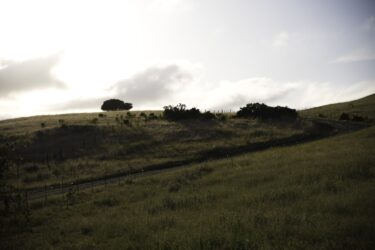 Calaveras 3