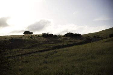 Calaveras 5
