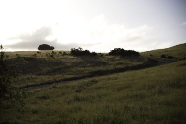 Calaveras 10