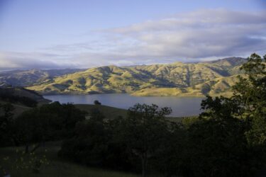 Calaveras 27